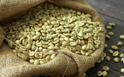 A Guide to Indonesia’s Premier Coffee Growing Regions and Their Unique Green Bean Profiles
