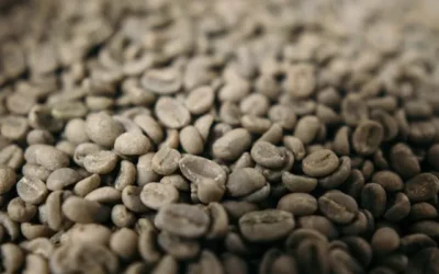 Green Coffee Beans Indonesia: A Complete Professional Guide