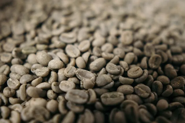 green coffee beans Indonesia from multiple regions