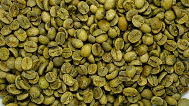 Indonesian green coffee beans from Sumatra and Java