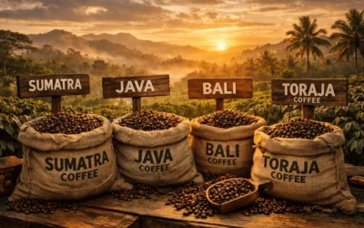 Top Coffee Beans from Indonesia Ultimate Premium Guide