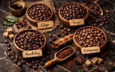 Which Indonesian Coffee is Best Discover Top Picks Worth Trying